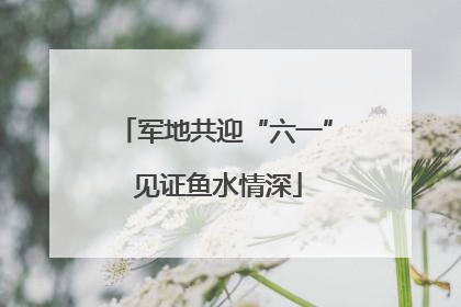 军地共迎“六一” 见证鱼水情深
