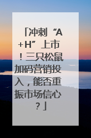 冲刺“A+H”上市！三只松鼠加码营销投入，能否重振市场信心？