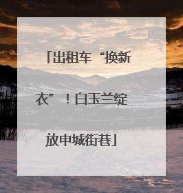 出租车“换新衣”！白玉兰绽放申城街巷