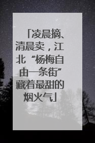 凌晨摘、清晨卖，江北“杨梅自由一条街”藏着最甜的烟火气