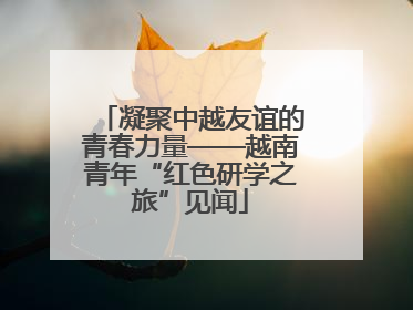 凝聚中越友谊的青春力量——越南青年“红色研学之旅”见闻