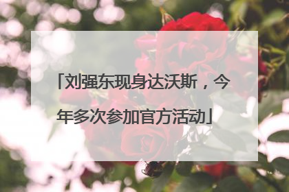 刘强东现身达沃斯，今年多次参加官方活动