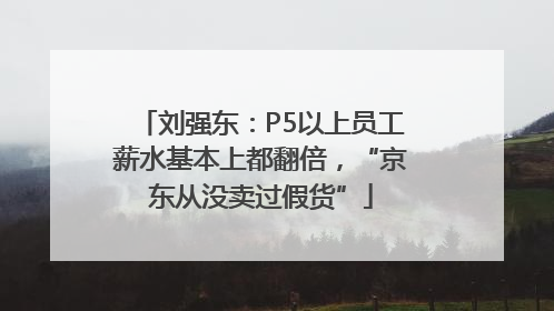刘强东：P5以上员工薪水基本上都翻倍，“京东从没卖过假货”