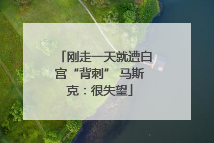 刚走一天就遭白宫“背刺” 马斯克：很失望