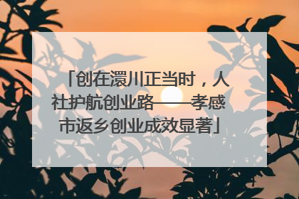 创在澴川正当时，人社护航创业路——孝感市返乡创业成效显著