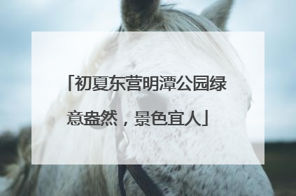 初夏东营明潭公园绿意盎然，景色宜人