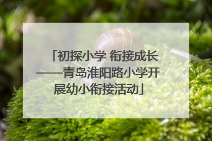 初探小学 衔接成长——青岛淮阳路小学开展幼小衔接活动