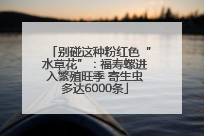 别碰这种粉红色“水草花”：福寿螺进入繁殖旺季 寄生虫多达6000条