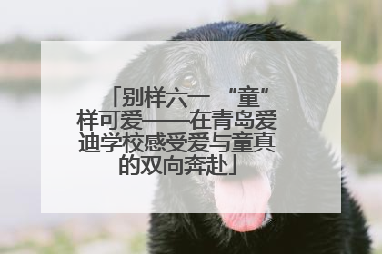 别样六一 “童”样可爱——在青岛爱迪学校感受爱与童真的双向奔赴