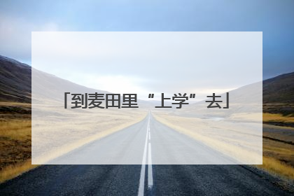 到麦田里“上学”去