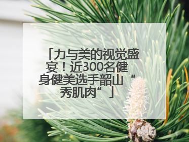 力与美的视觉盛宴！近300名健身健美选手韶山“秀肌肉”