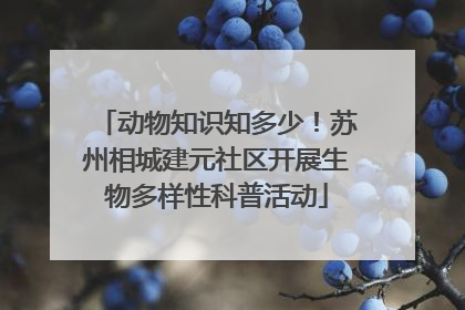 动物知识知多少!苏州相城建元社区开展生物多样性科普活动