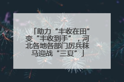 助力“丰收在田”变“丰收到手”，河北各地各部门厉兵秣马迎战“三夏”