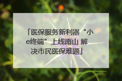 医保服务新利器“小e终端”上线南山 解决市民医保难题