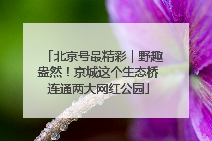 北京号最精彩｜野趣盎然！京城这个生态桥连通两大网红公园