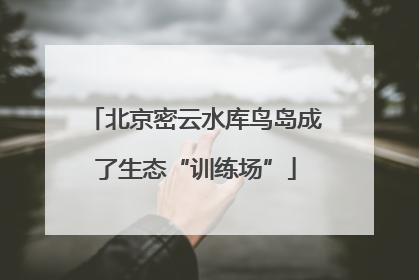 北京密云水库鸟岛成了生态“训练场”