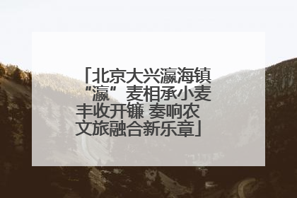 北京大兴瀛海镇“瀛”麦相承小麦丰收开镰 奏响农文旅融合新乐章