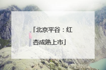 北京平谷：红杏成熟上市