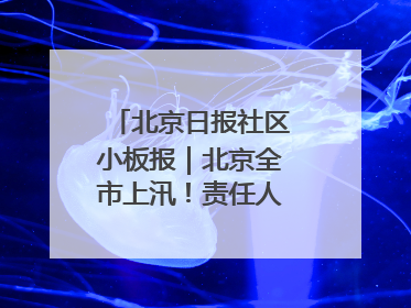 北京日报社区小板报｜北京全市上汛！责任人名单公示