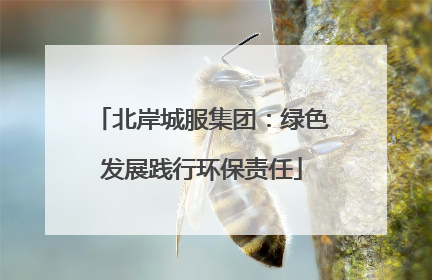 北岸城服集团：绿色发展践行环保责任