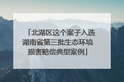 北湖区这个案子入选湖南省第三批生态环境损害赔偿典型案例