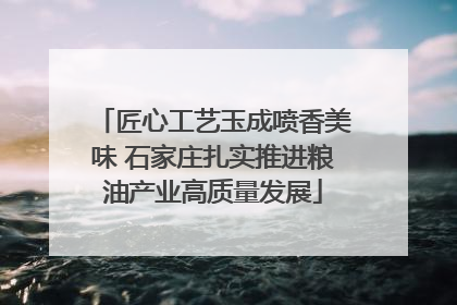 匠心工艺玉成喷香美味 石家庄扎实推进粮油产业高质量发展