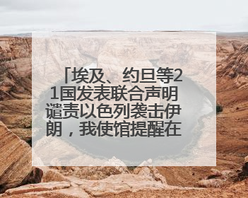 埃及、约旦等21国发表联合声明谴责以色列袭击伊朗，我使馆提醒在以中国公民尽快陆路离境