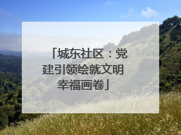 城东社区：党建引领绘就文明幸福画卷