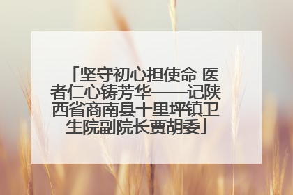 坚守初心担使命 医者仁心铸芳华——记陕西省商南县十里坪镇卫生院副院长贾胡委