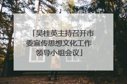 吴桂英主持召开市委宣传思想文化工作领导小组会议