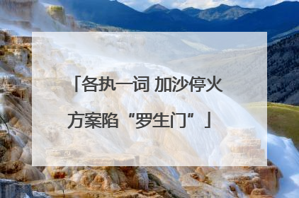 各执一词 加沙停火方案陷“罗生门”