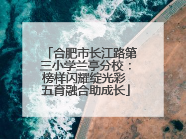 合肥市长江路第三小学兰亭分校：榜样闪耀绽光彩 五育融合助成长