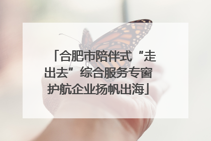 合肥市陪伴式“走出去”综合服务专窗护航企业扬帆出海