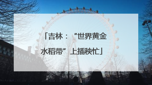 吉林：“世界黄金水稻带”上插秧忙