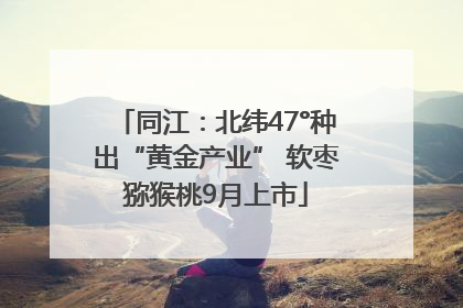 同江：北纬47°种出“黄金产业” 软枣猕猴桃9月上市