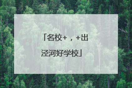 名校+，+出泾河好学校
