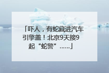 吓人，有蛇藏进汽车引擎盖！北京9天接9起“蛇警”……