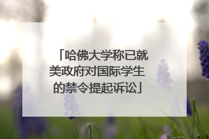 哈佛大学称已就美政府对国际学生的禁令提起诉讼