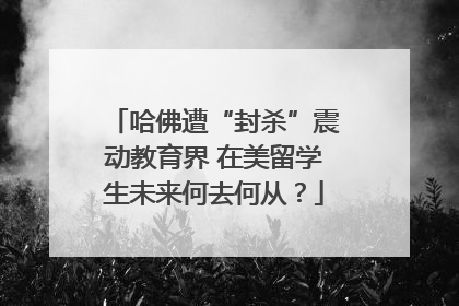 哈佛遭“封杀”震动教育界 在美留学生未来何去何从？