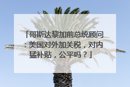 哥斯达黎加前总统顾问：美国对外加关税，对内猛补贴，公平吗？