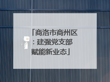 商洛市商州区：建强党支部 赋能新业态