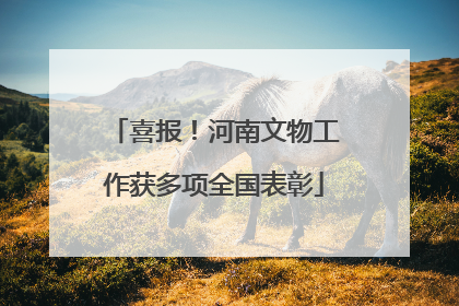 喜报！河南文物工作获多项全国表彰