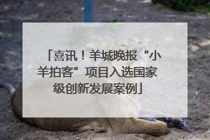 喜讯！羊城晚报“小羊拍客”项目入选国家级创新发展案例