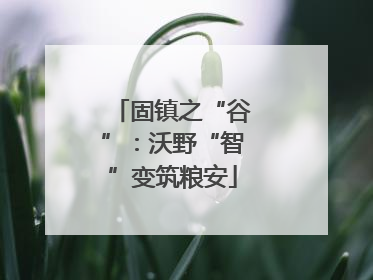 固镇之“谷”：沃野“智”变筑粮安