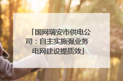 国网瑞安市供电公司：自主实施强业务 电网建设提质效