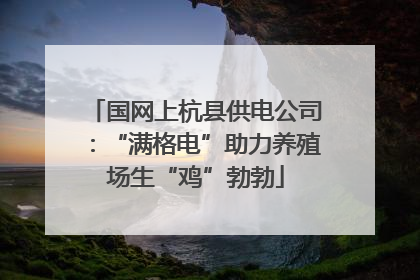 国网上杭县供电公司：“满格电”助力养殖场生“鸡”勃勃