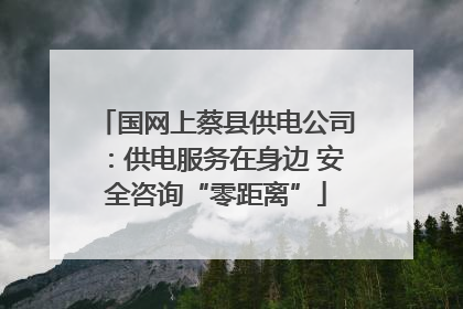 国网上蔡县供电公司：供电服务在身边 安全咨询“零距离”