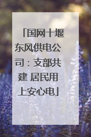 国网十堰东风供电公司：支部共建 居民用上安心电