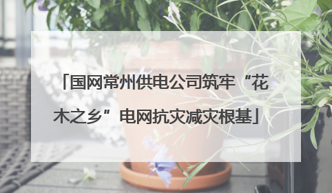 国网常州供电公司筑牢“花木之乡”电网抗灾减灾根基