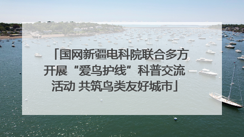 国网新疆电科院联合多方开展“爱鸟护线”科普交流活动 共筑鸟类友好城市